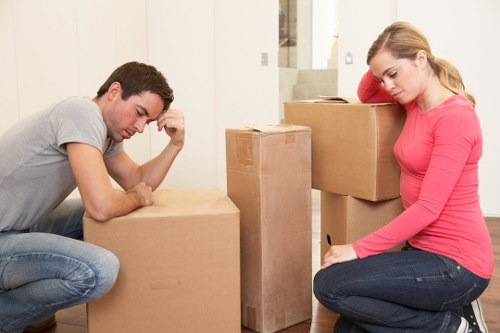 Local van service handling boxes and household items